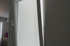 DSC05231